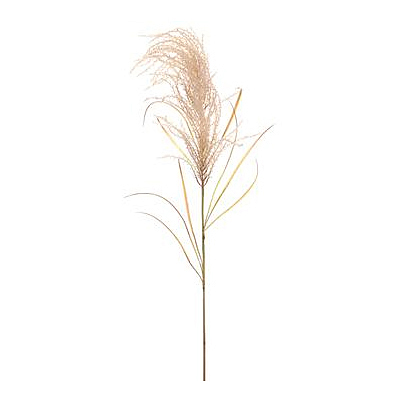 Pampas Grass Spray - Beige