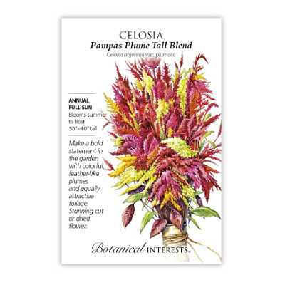 Seeds - BI Celosia Pampas Plume