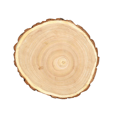 Paulownia Wood Slice