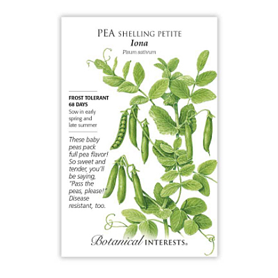 Seeds - BI Pea Shelling Petite Iona