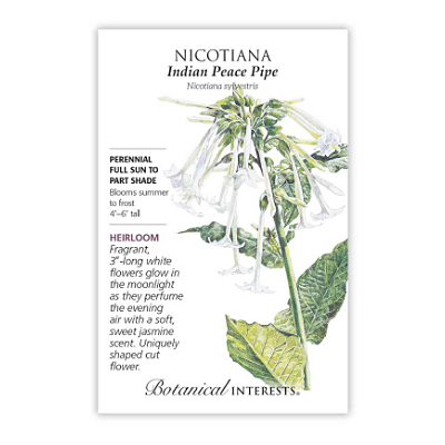 Seeds - BI Nicotiana Indian Peace Pipe