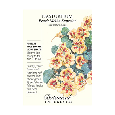 Seeds - BI Nasturtium Peach Melba