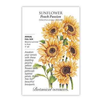 Seeds - BI Sunflower Peach Passion