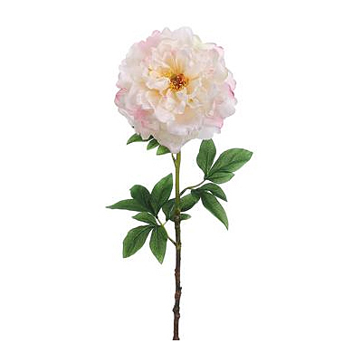 Peony Spray - Cream Pink