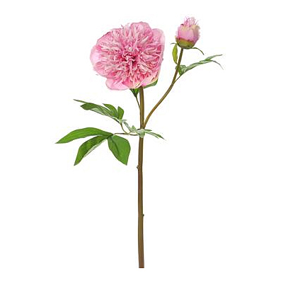 Peony Spray - Pink