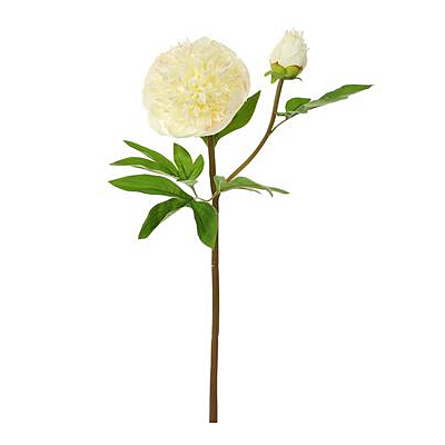 Peony Spray - White