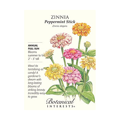 Seeds - BI Zinnia Peppermint Stick