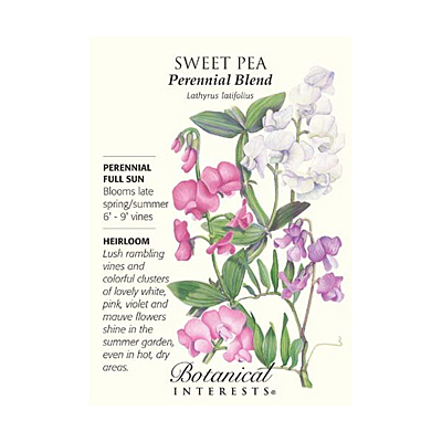 Seeds - BI Sweet Pea Perennial Blend