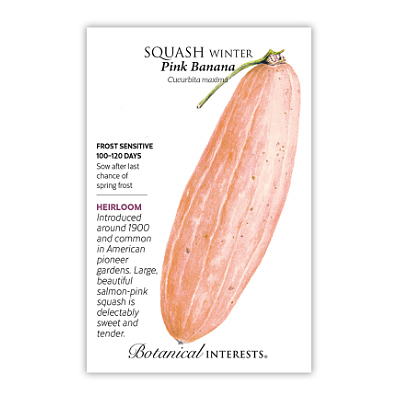 Seeds - BI Squash Winter Pink Banana