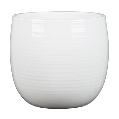 Intense Cover-Pot Planter - Alsaka White