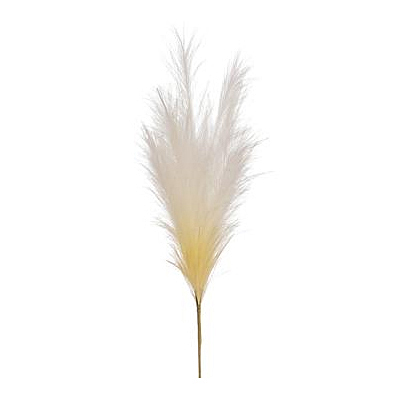 Plume Spray - Cream Two Tone