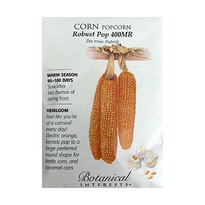 Seeds - BI Corn Popcorn Robust