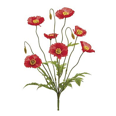 Poppy Bush - Red