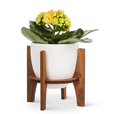 Pot with Wooden Stand - White