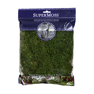 Moss - Sheet Preserved