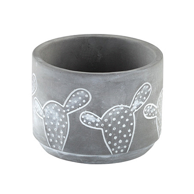 Planter - Prickly Pear Cactus