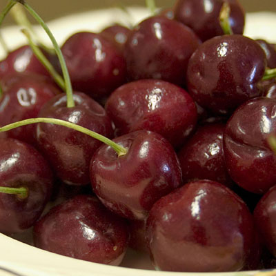 Prunus a. 'Bing'