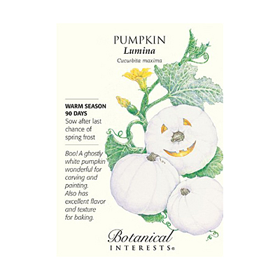 Seeds - BI Pumpkin Lumina