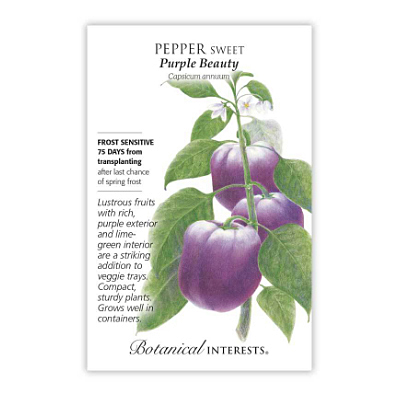 Seeds - BI Pepper Sweet Purple Beauty