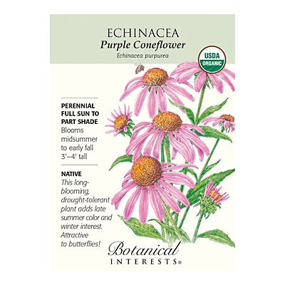 Seeds - BI Echinacea Purple Coneflower Org