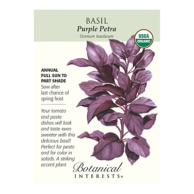 Seeds - BI Basil Purple Petra Org