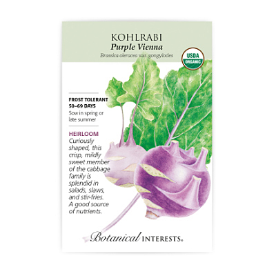 Seeds - BI Kohlrabi Purple Vienna Org