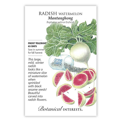 Seeds - BI Radish Watermelon Hybrid