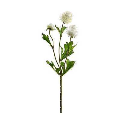 Ranunculus Mini Spray - Cream