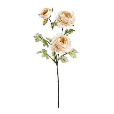Ranunculus Spray - Cream