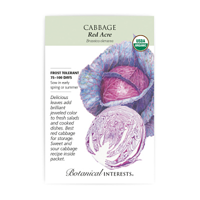 Seeds - BI Cabbage Red Acre Org