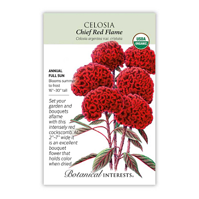 Seeds - BI Celosia Chief Red Flame Org