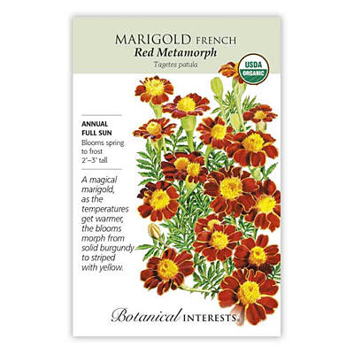 Seeds - BI Marigold French Red Metamorph Org