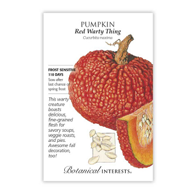 Seeds - BI Pumpkin Red Warty Thing