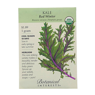 Seeds - BI Kale Red Russian Org