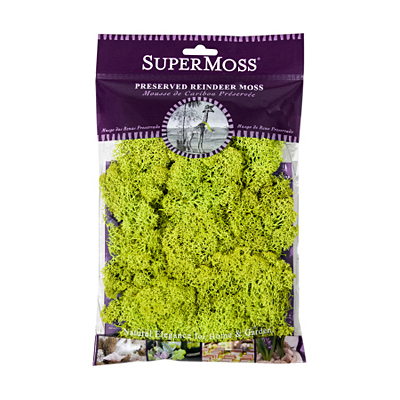 Moss - Reindeer Preserved Bag