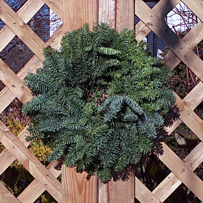 Candle Ring - Noble Fir