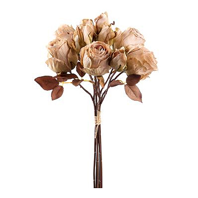 Rose Bundle - Cream Green