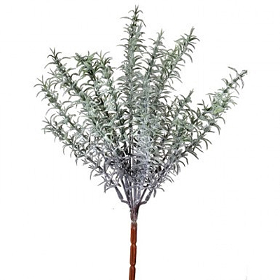 Rosemary Natural Touch Frost Bush x7
