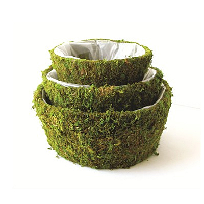 Basket - Moss Roseville Basket