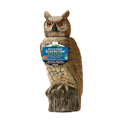 Gardener Rotating-Head Owl