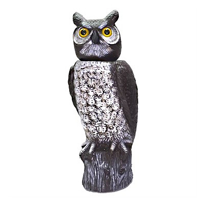Dalen Rotating Head Owl Hand-Painted Owl