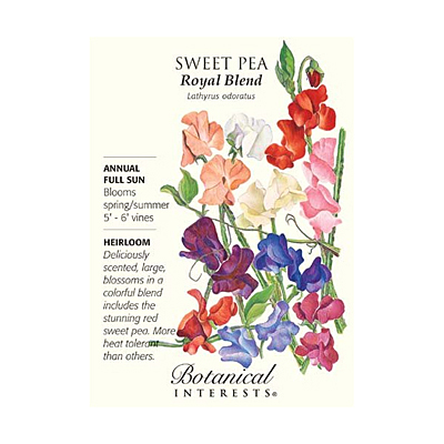 Seeds - BI Sweet Pea Royal Blend