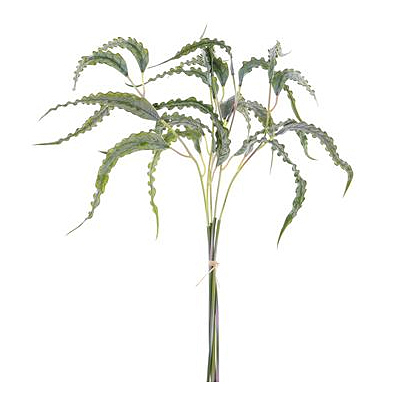 Ruffle Eucalyptus Bundle - Green