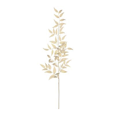 Italian Ruscus Leaf Spray - Cream