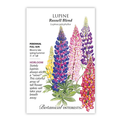 Seeds - BI Lupine Russell Blend