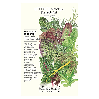 Seeds - BI Lettuce Mesclun Sassy Salad
