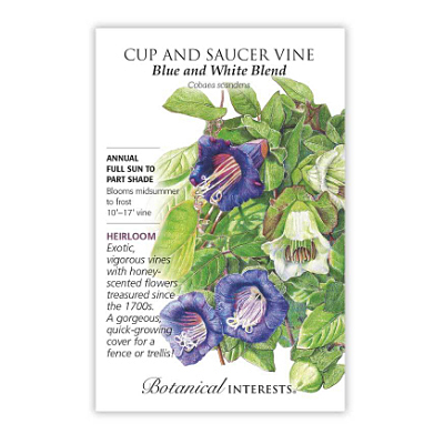 Seeds - BI Cup & Saucer Vine
