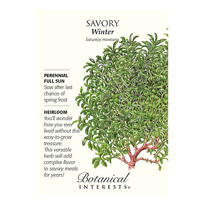 Seeds - BI Savory Winter