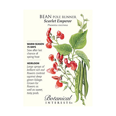 Seeds - BI Bean Pole Runner Scarlet Emperor