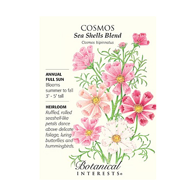 Seeds - BI Cosmos Sea Shells Blend